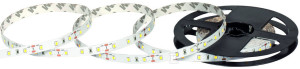 Taśma LED NEXTEC EX PREMIUM 12V 2835 4/8W 60 LED IP20 6200K + -250K 95lm W RA 80 5m 8mm