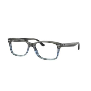 Ray-Ban RX5428 8254