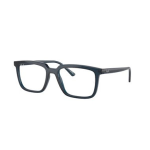 Ray-Ban ALAIN RX7239 8256