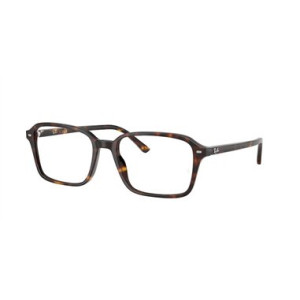 Ray-Ban RAIMOND RX5431 2012