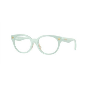 Versace VK3009U 5505