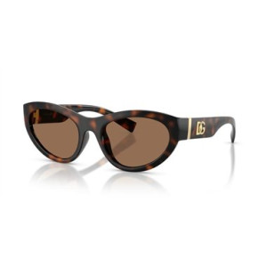 Dolce & Gabbana DG6207 502/73