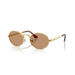 Ray-Ban RB3931 001/53