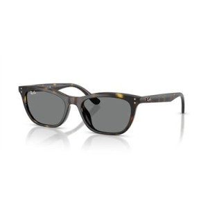 Ray-Ban RB4474D 710/87