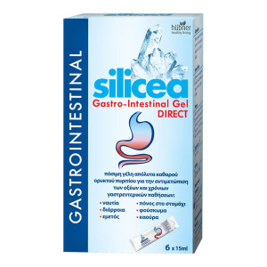 Hubner Silicea Gastrointestinal Gel Direct 6 Φακελάκια