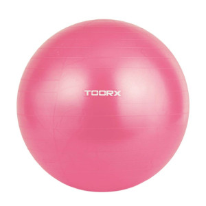 Toorx AHF-069 Μπάλα Γυμναστικής 55cm