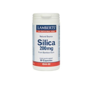 Lamberts Silica Υγεία αρθρώσεων & δέρματος 90Caps