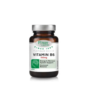 Power Health Platinum Range B6 100mg 60Caps