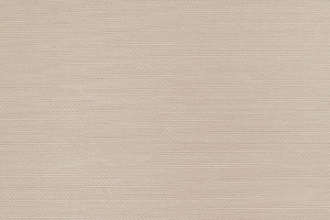 Tapeta dekoracyjna Vinylpex Ralph W47.352