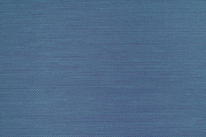 Tapeta dekoracyjna Vinylpex Ralph W47.420