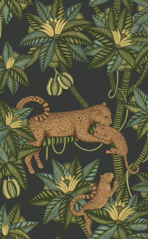 Tapeta dekoracyjna Cole&Son Ardmore Jabula Satara 119/3016