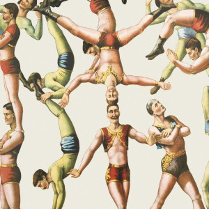 Tapeta MINTHEGAP Curcus The Acrobats WP20005