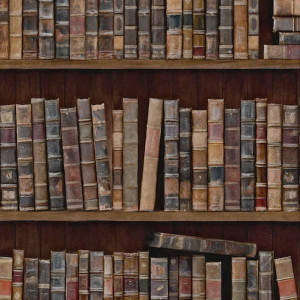 Tapeta MINDTHEGAP Eclectic Book Shelves WP20112
