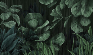 Grafika NEWWALLS Art of ficus