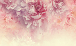 Grafika NEWWALLS Gorgeous flower