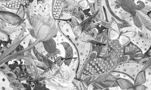 Grafika NEWWALLS Humming bird black
