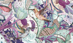 Grafika NEWWALLS Humming bird