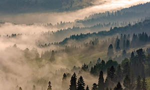 Grafika NEWWALLS Morning in the mountains