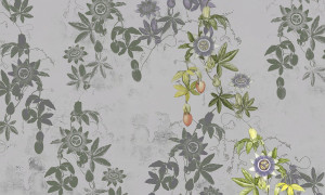 Grafika NEWWALLS Peach flower