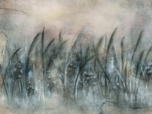 Grafika WallCraft Canna 535 32 2201