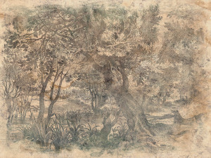 Grafika WallCraft Elav 605 31 2201