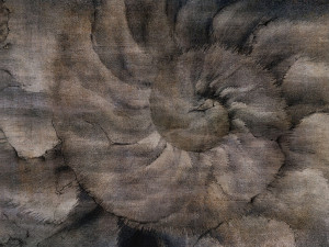 Grafika WallCraft Fosilium 405 32 2101