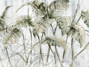 Grafika WallCraft Monstera 595 31 2201