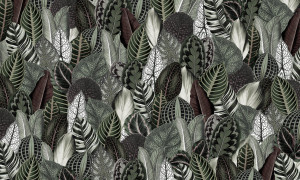 Tapeta Wonderwall Botanica 35 0504 01