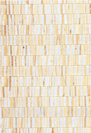Tapeta dekoracyjna Arte Fringe 40320