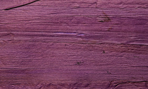 Tapeta dekoracyjna Arte Fuga 90004