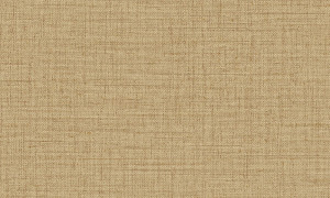 Tapeta dekoracyjna Arte Puro 27007