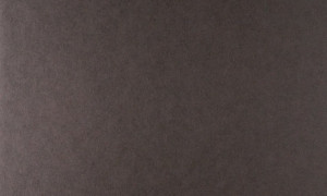 Tapeta dekoracyjna Arte Tints 20527