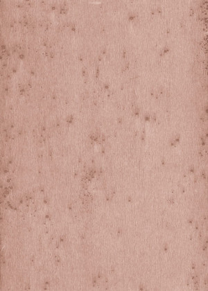 Tapeta dekoracyjna Arte Stellar 37503