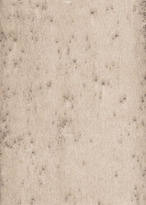 Tapeta dekoracyjna Arte Stellar 37507