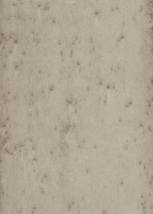 Tapeta dekoracyjna Arte Stellar 37508