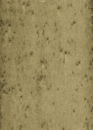 Tapeta dekoracyjna Arte Stellar 37510