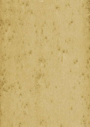 Tapeta dekoracyjna Arte Stellar 37516