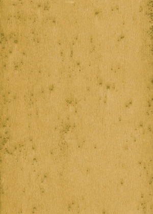 Tapeta dekoracyjna Arte Stellar 37519