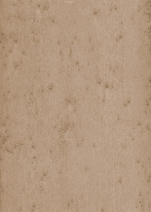 Tapeta dekoracyjna Arte Stellar 37522