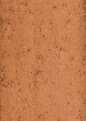 Tapeta dekoracyjna Arte Stellar 37523