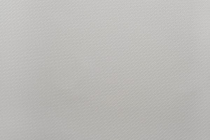 Tapeta dekoracyjna Vinylpex Silva W53.352