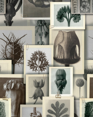 Tapeta MINDTHEGAP THE ARTIST'S HOUSE BLOSSFELDT'S ART FORMS WP20595