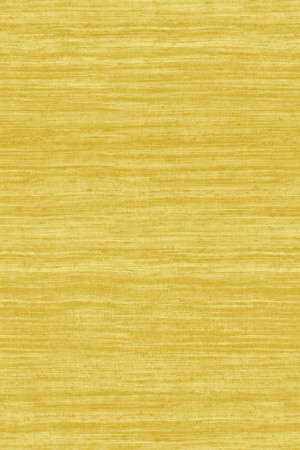 Tapeta dekoracyjna Arte Expedition Tasar A72029