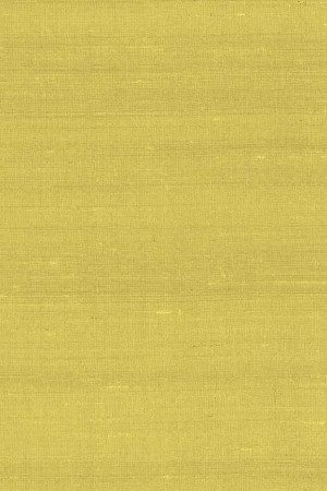 Tapeta Arte Paleo Latus A50507