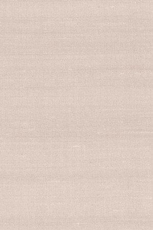 Tapeta Arte Paleo Latus A50512