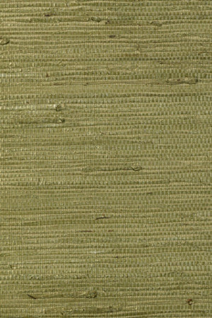 Tapeta Arte Osmanthus Kudzu A54530