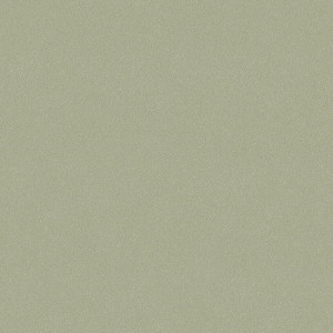 Tapeta dekoracyjna Boras Tapeter Pigment Olivine Sand 7582