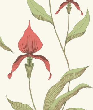 Tapeta dekoracyjna Cole&Son Contemporary Collection Orchid 95/10054