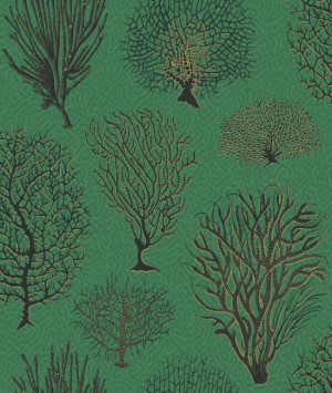 Tapeta dekoracyjna Cole&Son Archive Anthology Curio Seafern 107/2007