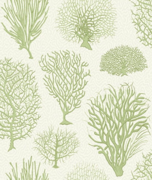 Tapeta dekoracyjna Cole&Son Archive Anthology Curio Seafern 107/2008